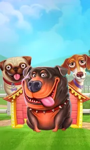 The Dog House